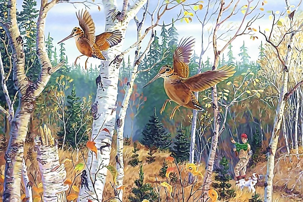 №2050999 - охота, лес, птицы - оригинал