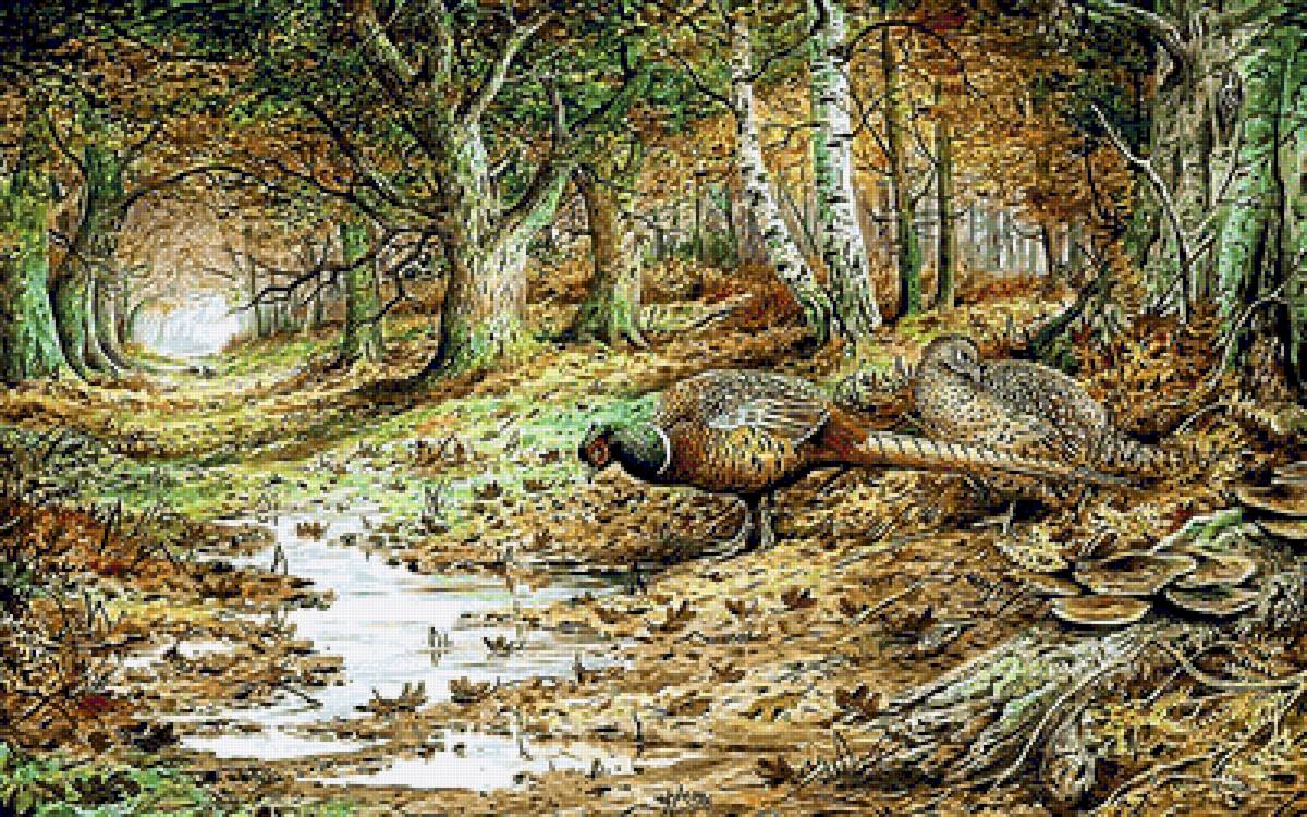 №2051000 - птицы, ручей, лес, пейзаж - предпросмотр