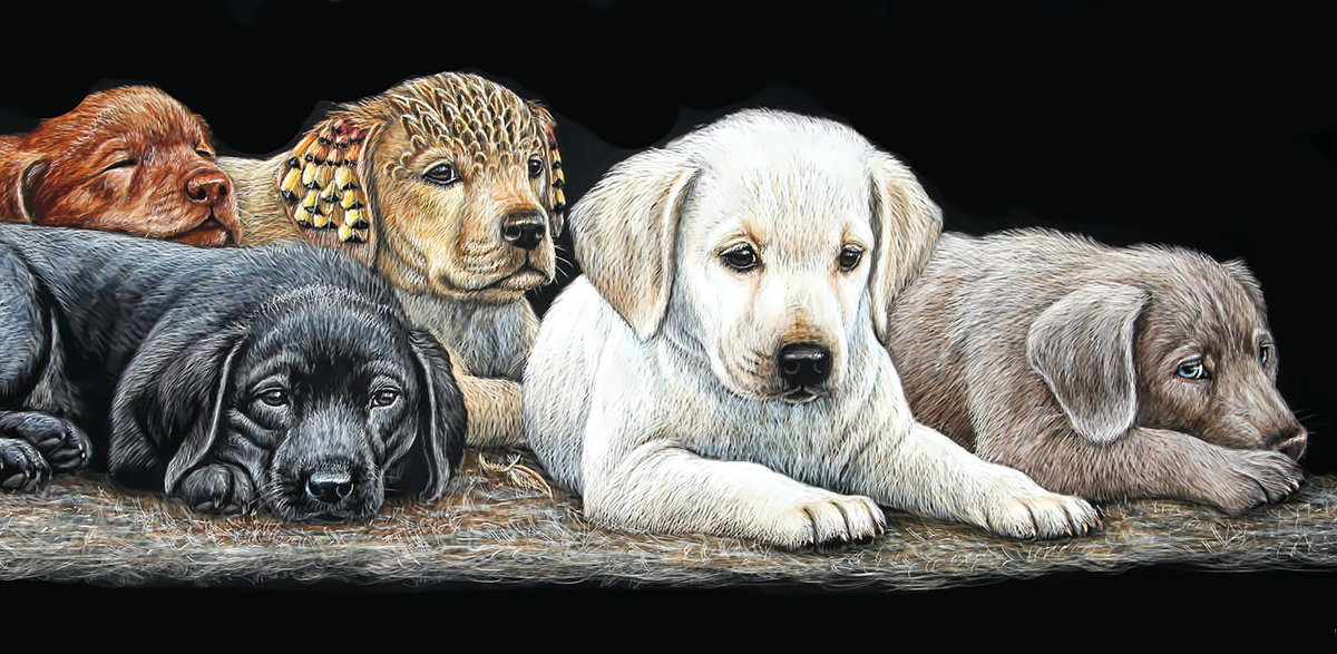 Щенки. - животные, собаки, щенки, живопись - оригинал