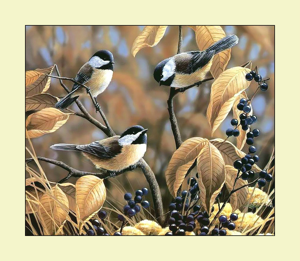Синички. - живопись, синицы, птицы, осень - оригинал
