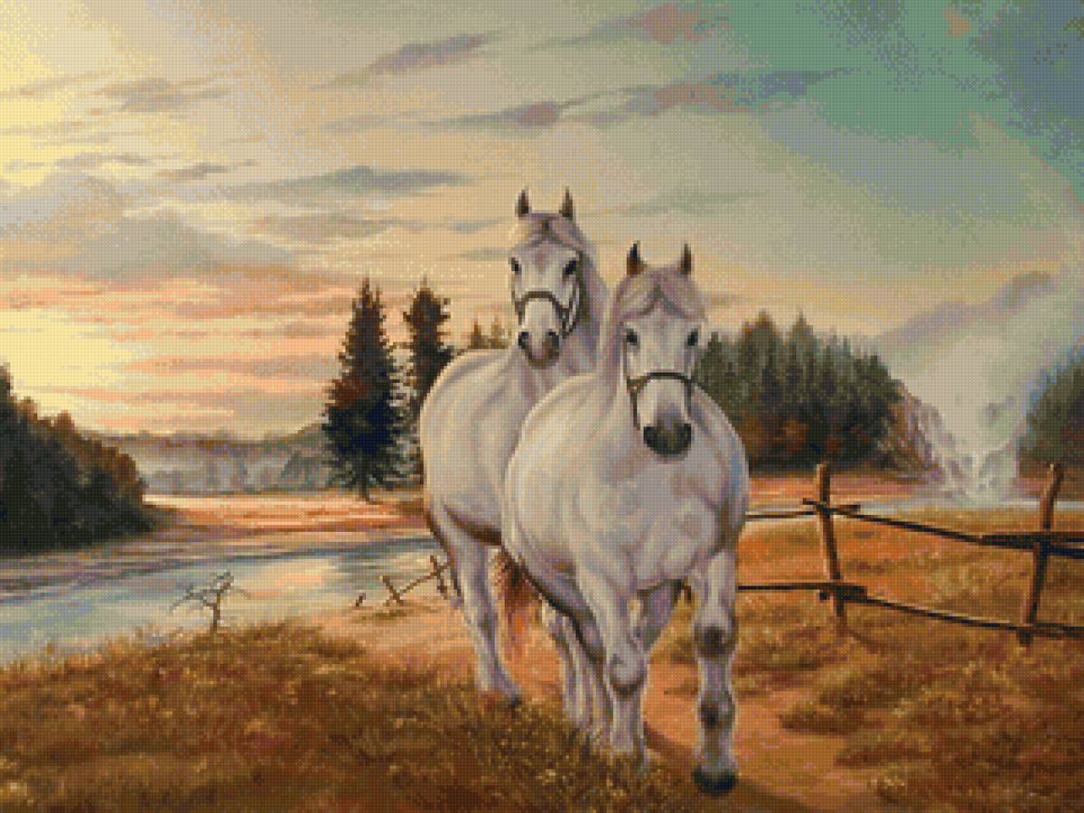 Породистые лошади - лето, закат, лошади - предпросмотр