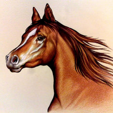 Оригинал схемы вышивки «Портрет лошади» (№2051380)