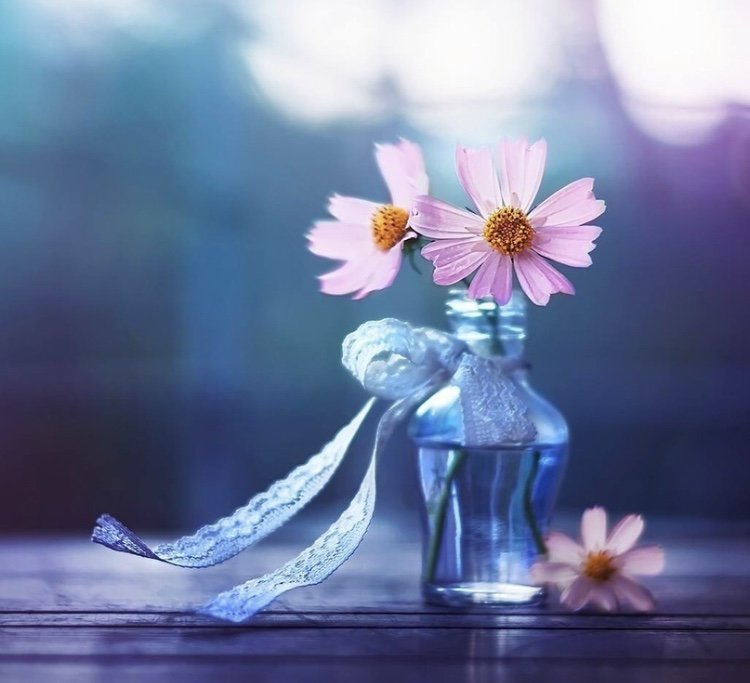 Уветы - оригинал