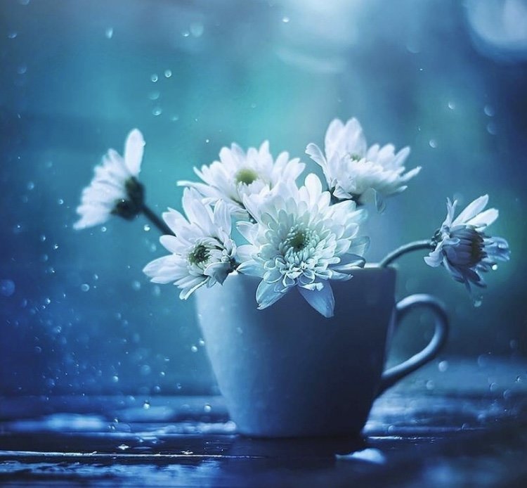 Хризантемы - оригинал