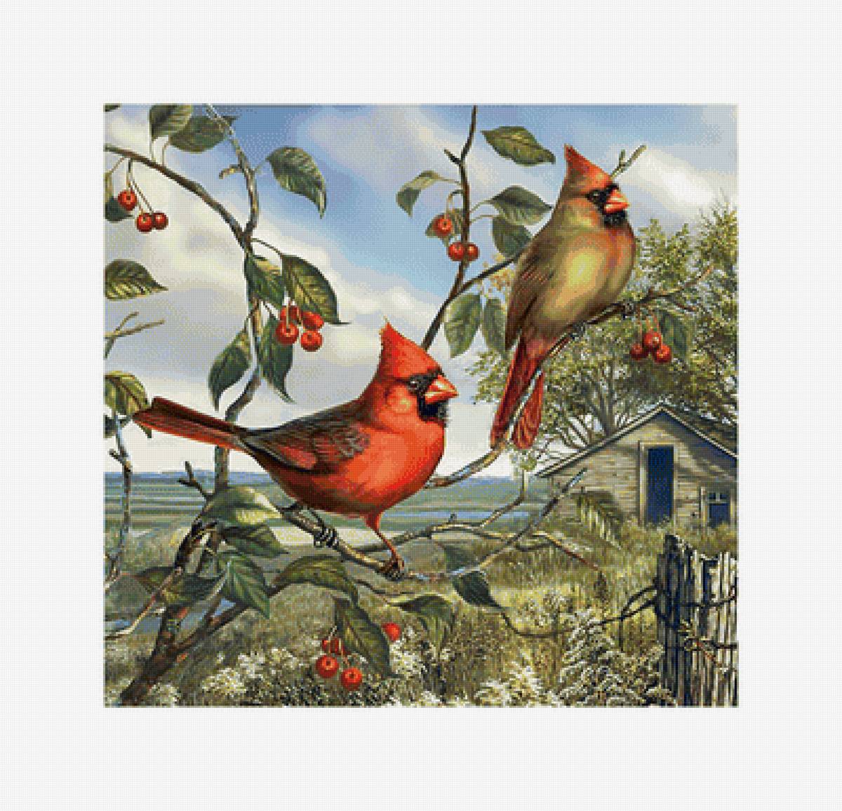 Птицы. - пейзаж, живопись, птицы - предпросмотр