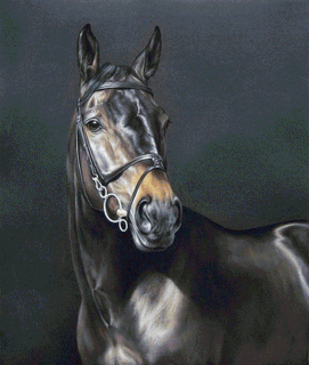 Худ. Дубинина (конь Пророк) - портрет, лошадь, конь - предпросмотр
