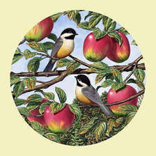 Оригинал схемы вышивки «Синицы на яблоне.» (№2051949)