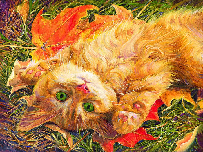 Осенний котик - кошка - оригинал
