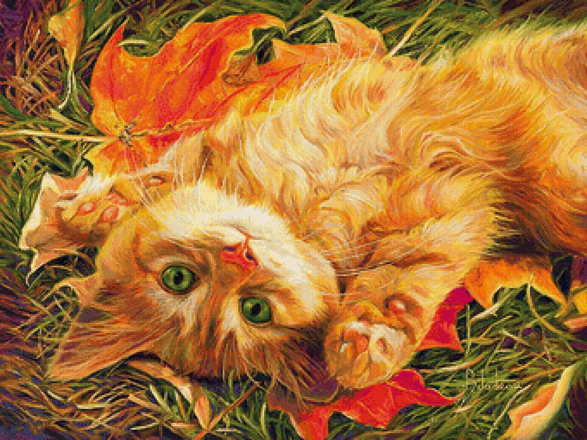 Осенний котик - кошка - предпросмотр