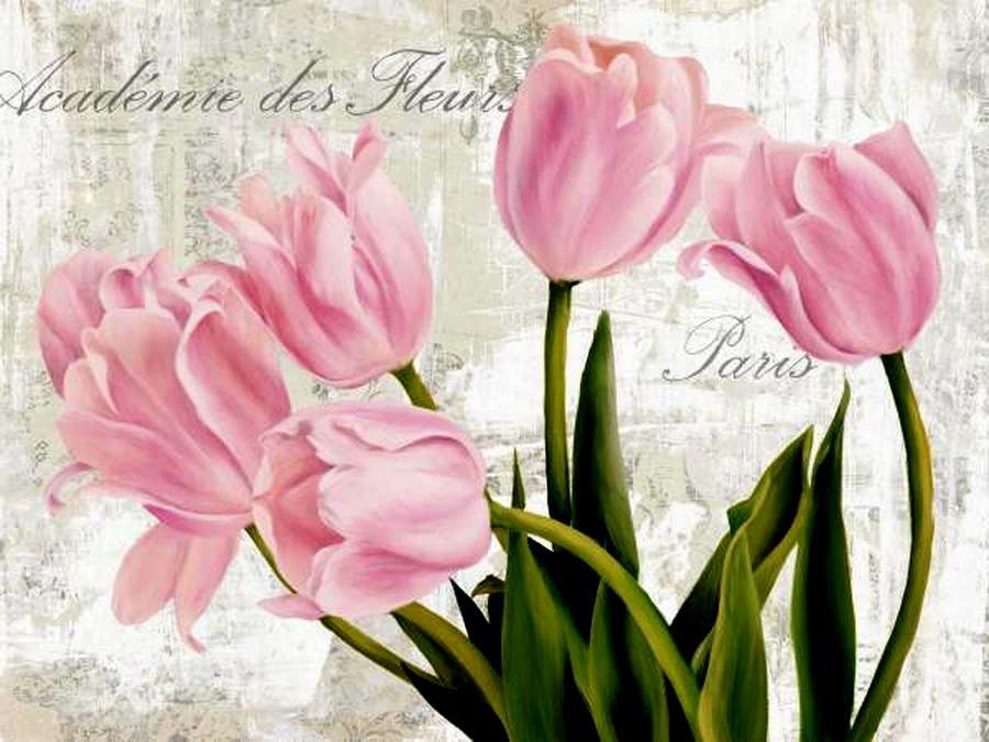 Тюльпаны - цветы - оригинал