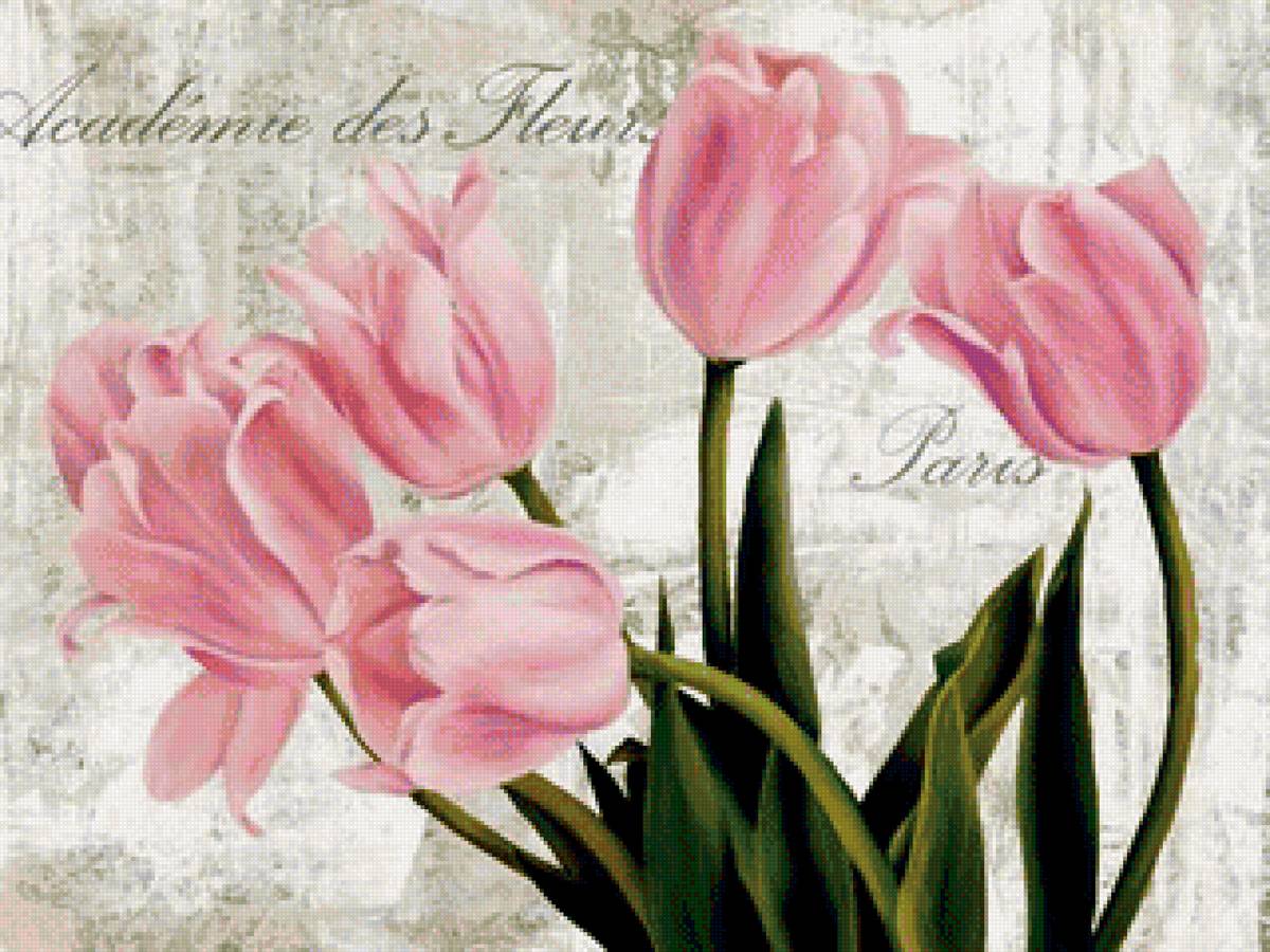 Тюльпаны - цветы - предпросмотр