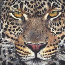 Схема вышивки «Лео»