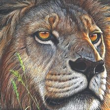 Схема вышивки «Лев»