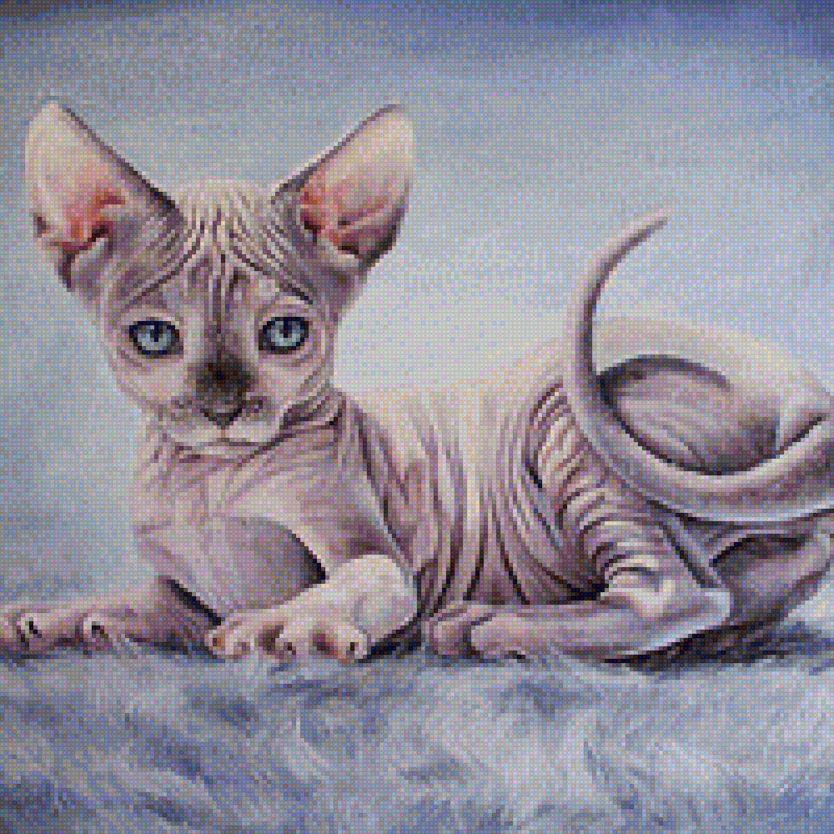 Кошка Сфинкс - животные, домашние любимцы, кошка, сфинкс - предпросмотр