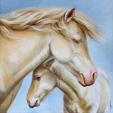 Лошадь белая - животные, лошадь, пара, конь, жеребенок - оригинал