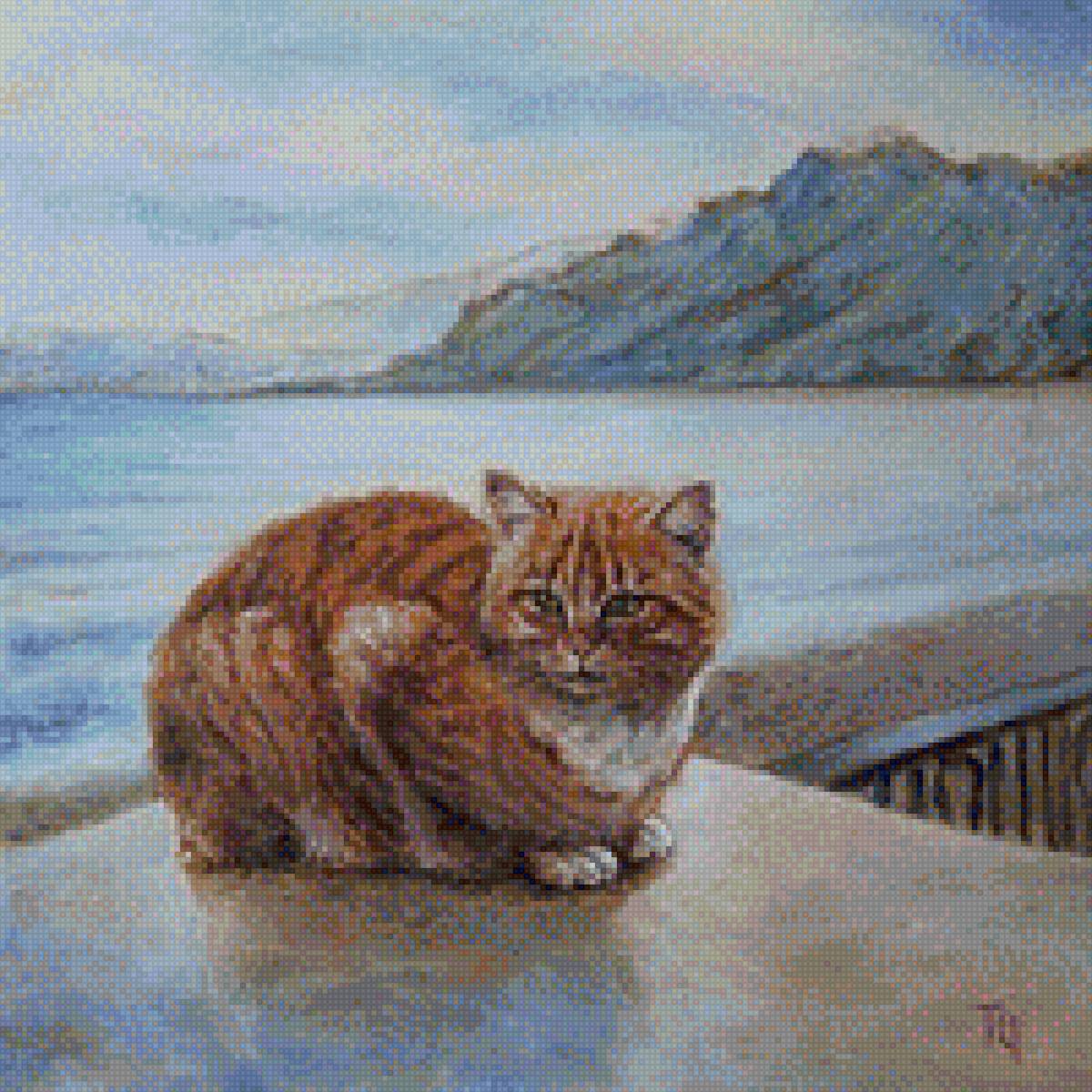 Кот на море - фото, кот, домашние любимцы, море, картинка - предпросмотр