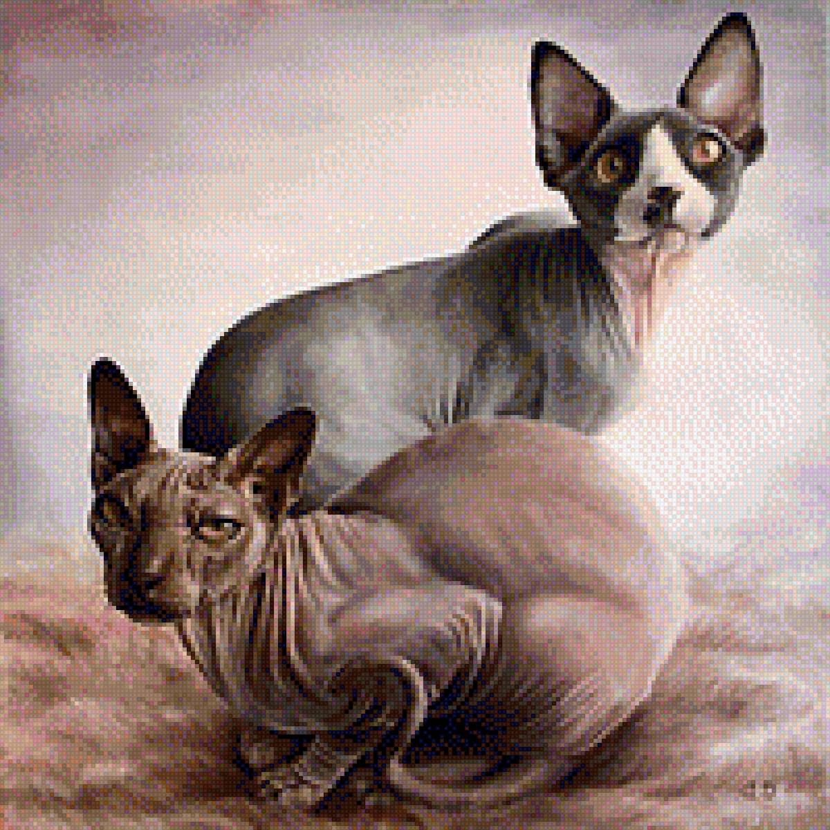 Коты Сфинксы - домашние любимцы, картина, кот, сфинкс, порода - предпросмотр