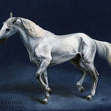 Лошадь белая - животное, лошадь, картина, белая - оригинал