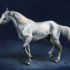Оригинал схемы вышивки «Лошадь белая» (№2052289)