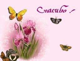 Открытка Спасибо! - спасибо, открытка, поздравление, ирисы, бабочка - оригинал