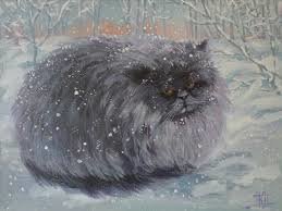 Кошка зимой - животные, кошка, персидская, зима, порода, домашние любимцы - оригинал