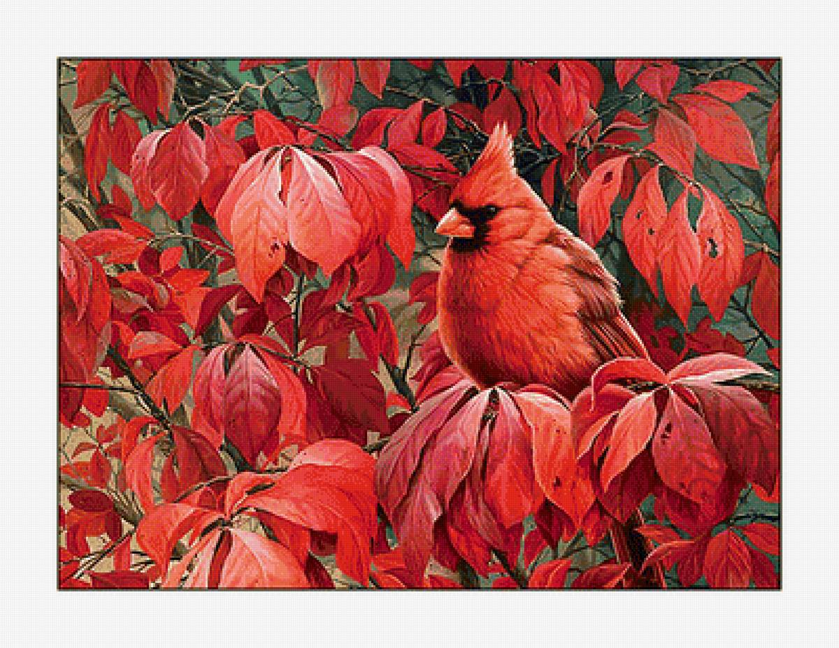Кардинал. - кардинал, птицы, осень, листва, живопись - предпросмотр
