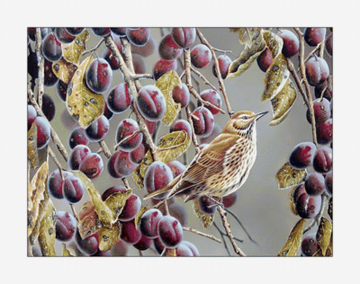 Птичка и сливы. - сливы, живопись, птицы - предпросмотр