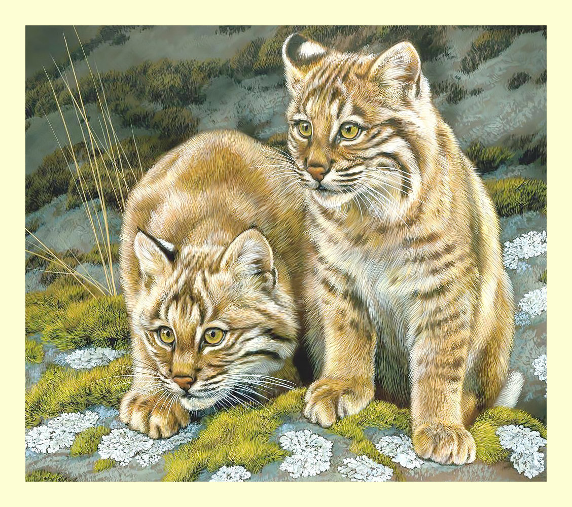 Маленькие хищники. - котята, животные, живопись, хищники - оригинал