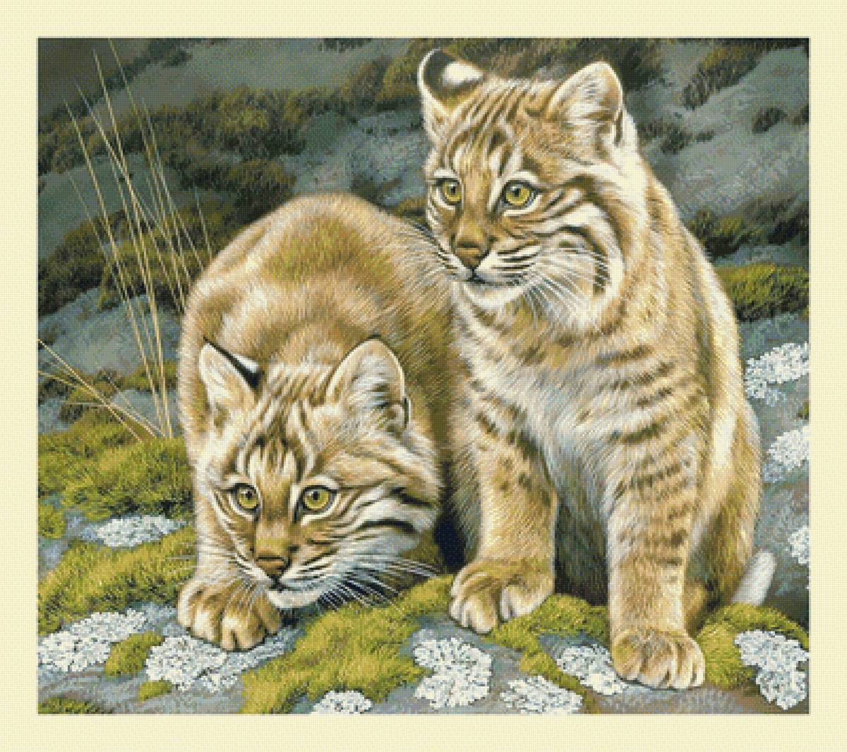 Маленькие хищники. - животные, котята, живопись, хищники - предпросмотр
