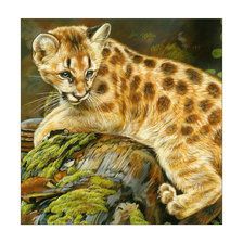 Схема вышивки «Маленький хищник.»