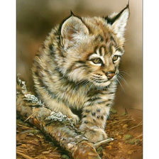 Схема вышивки «Рысёнок.»