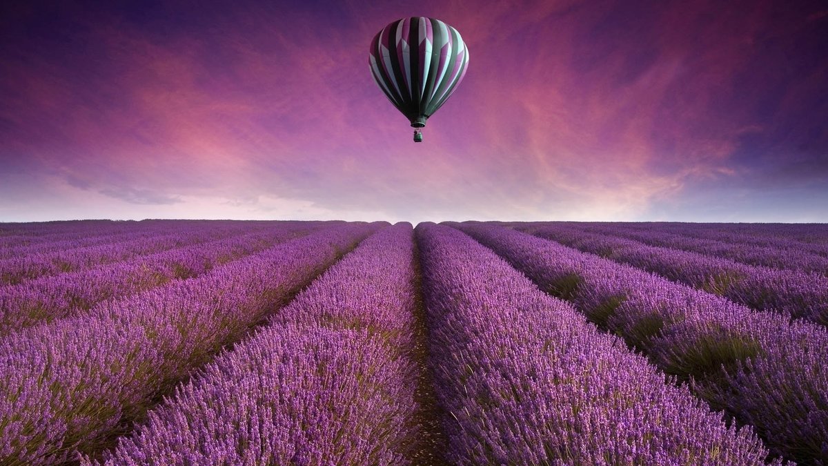 воздушный шар - небо, цветы, фиолетовый, воздушный шар, вышивка, лаванда - оригинал