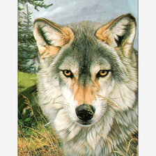 Оригинал схемы вышивки «Волк.» (№2052705)