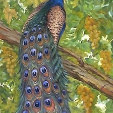 Схема вышивки «№2052737»