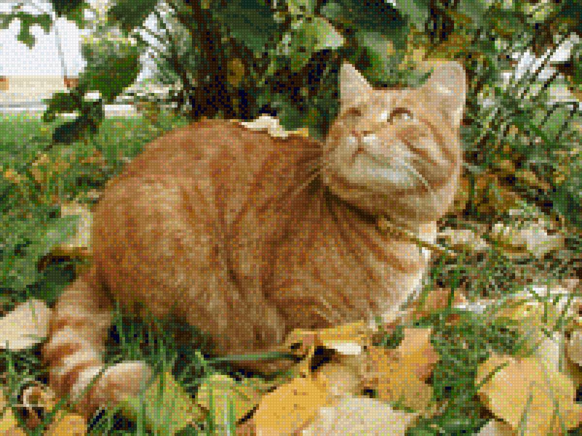 кот Персик - рыжий кот, кот в листьях - предпросмотр
