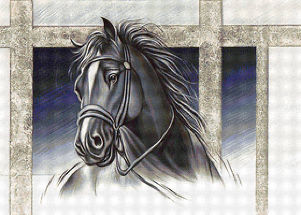 Чёрный конь - портрет, лошадь, конь - предпросмотр