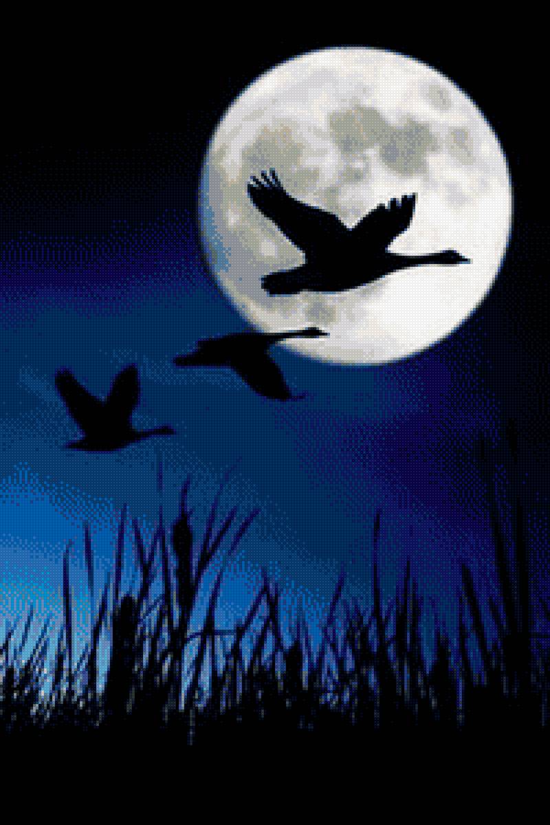 ночной полет - луна, полет, ночь, лебеди - предпросмотр