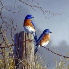 Схема вышивки «№2052981»