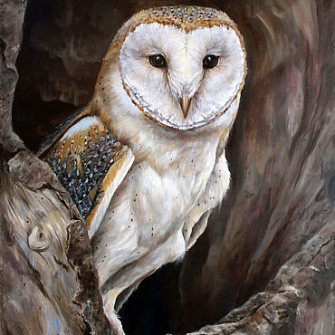 Сова - сова, картина, птица - оригинал