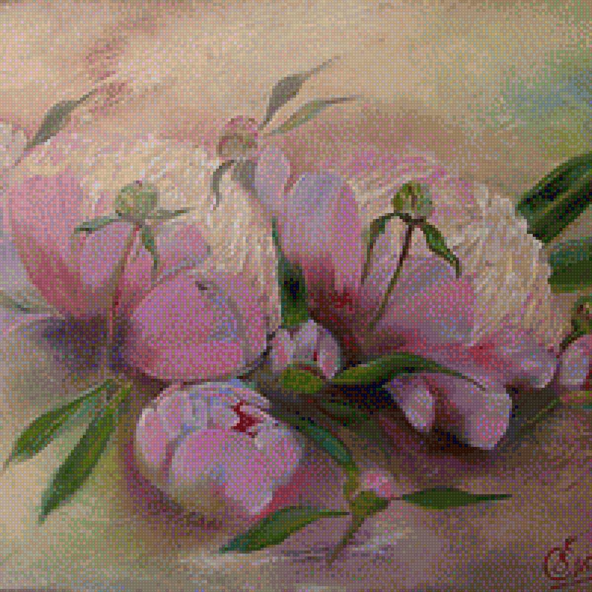 Пион - цветы, куст, растения, пион - предпросмотр