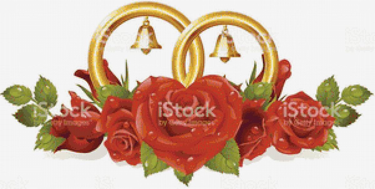 Кольца в розах - свадьба, розы, кольца - предпросмотр