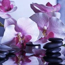 Схема вышивки «Orhidee»