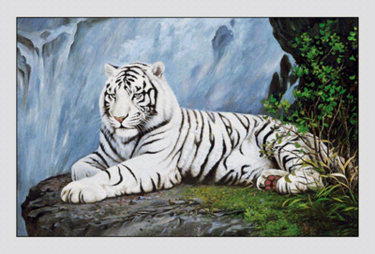 №2053336 - животные, тигр, тигры, хищники - предпросмотр