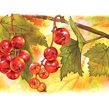 Схема вышивки «№2053361»