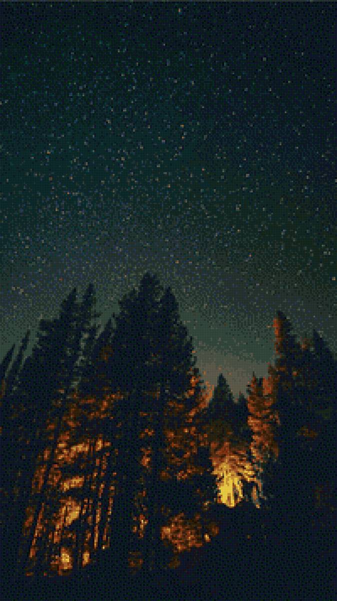 Ночь - звезды, лес, природа, ночь - предпросмотр