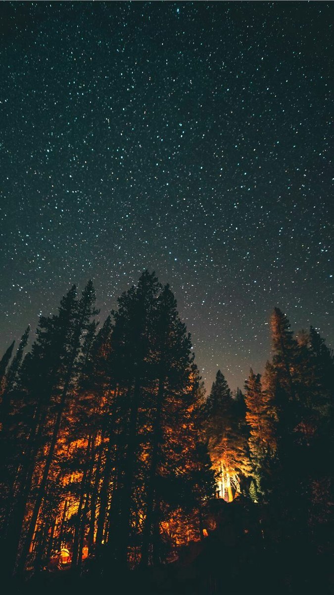 Ночь - лес, природа, звезды, ночь - оригинал