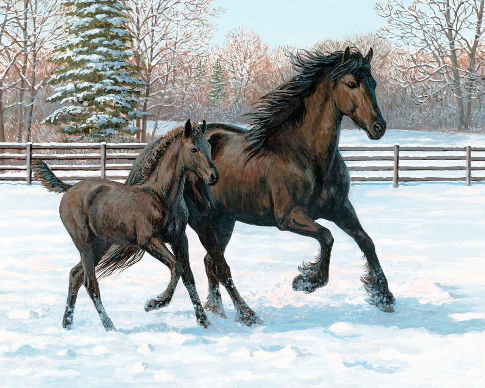 Худ. Персис Клейтон - жеребенок, лошади, зима - оригинал