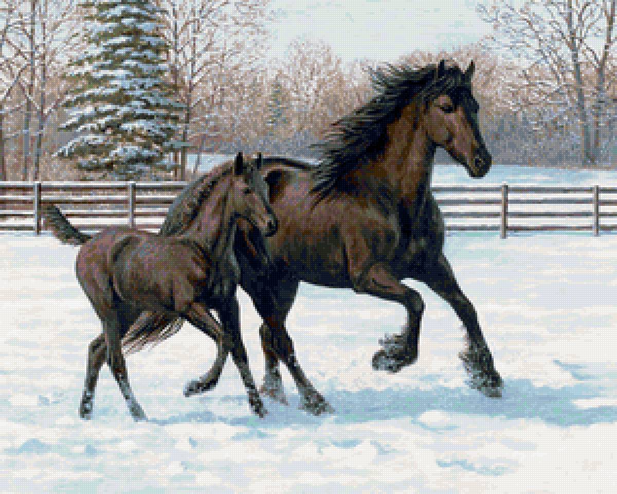 Худ. Персис Клейтон - лошади, зима, жеребенок - предпросмотр