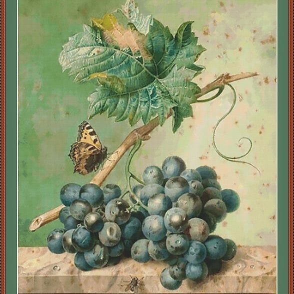 Виноград и бабочка - ягода, картина, виноград, бабочка, растение - оригинал