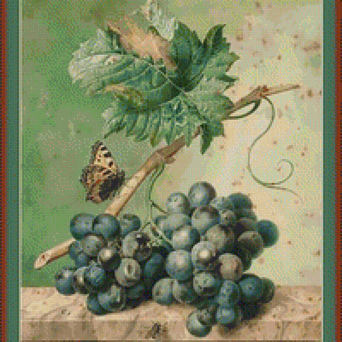 Виноград и бабочка - бабочка, растение, ягода, картина, виноград - предпросмотр